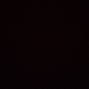 Meet your Posher, Antoinette